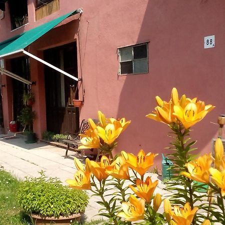 Ecogarden camping Chirignago-Zelarino Exterior foto