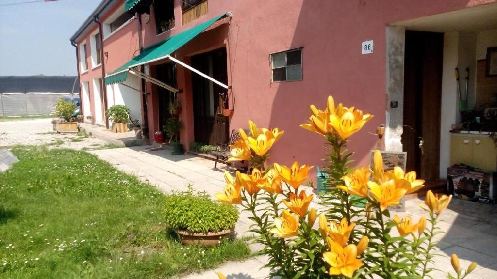 Ecogarden camping Chirignago-Zelarino Exterior foto